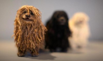 كلب آلي مخصص لإشعاراتكم على مواقع التواصل... ما يقوم به رائع!