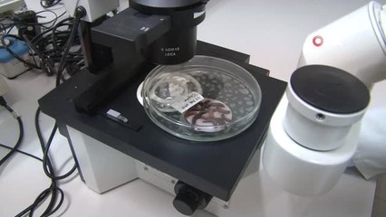 Organik Tarıma "Üniversiteli Solucan" Desteği