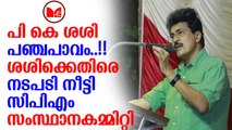 PK Sasi | ശശിക്കെതിരെ നടപടി നീട്ടി  സിപിഎം സംസ്ഥാനകമ്മിറ്റി.