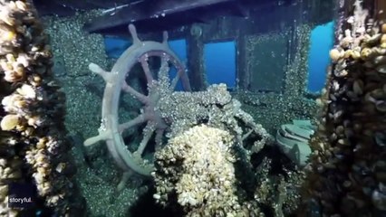 Bangkai Kapal Karam Ditemukan di Ontario