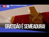 Gratidão é semeadura  // Palavra de Vida e Fé