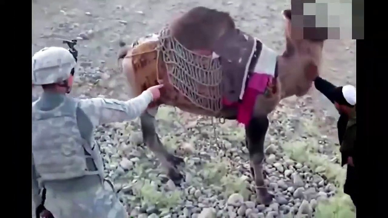 Je ris des soldats les plus stupides