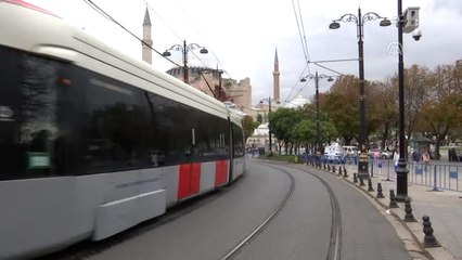 İstanbul'un Sevimli Misafirleri: Papağanlar