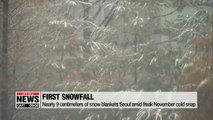 Nearly 9 centimeters of snow blankets Seoul amid freak November cold snap