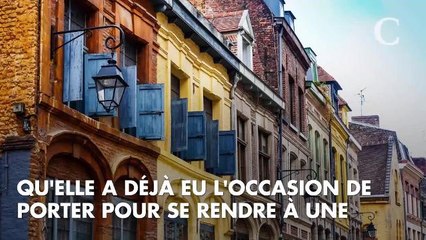 PHOTOS. Miss Monde 2018 : Maëva Coucke dévoile son costume national "très Paris"