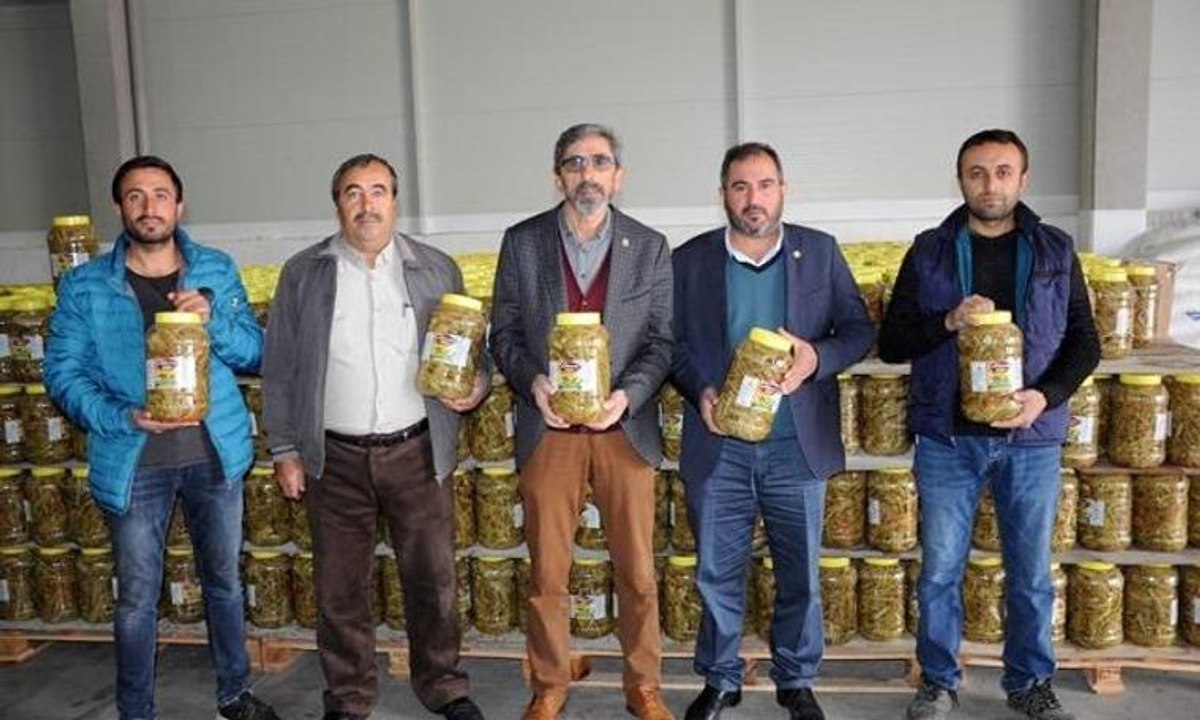 Sivas'tan Almanya'ya pezik turşusu
