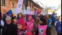 Un millier de manifestants en soutien à la maternité de Thann