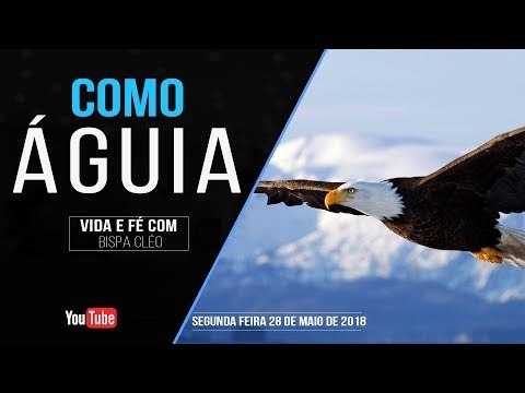 Como águia // Palavra de Vida e Fé com a Bispa Cléo