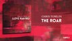 Chris Tomlin - The Roar