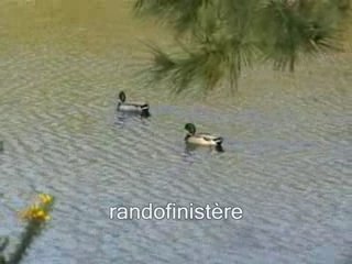 Depuis l'observatoire de mousterlin