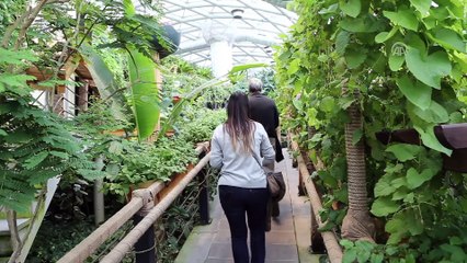 Kelebek Bahçesi'ndeki bitkilere bebek gibi bakılıyor - KONYA