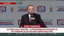 Başkan Erdoğan'dan Bahçeli'ye teşekkür