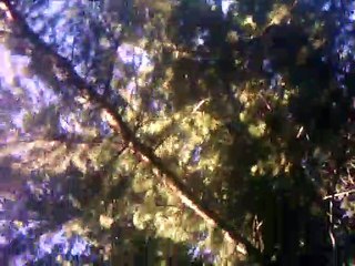 paseo por calle mirando cielo