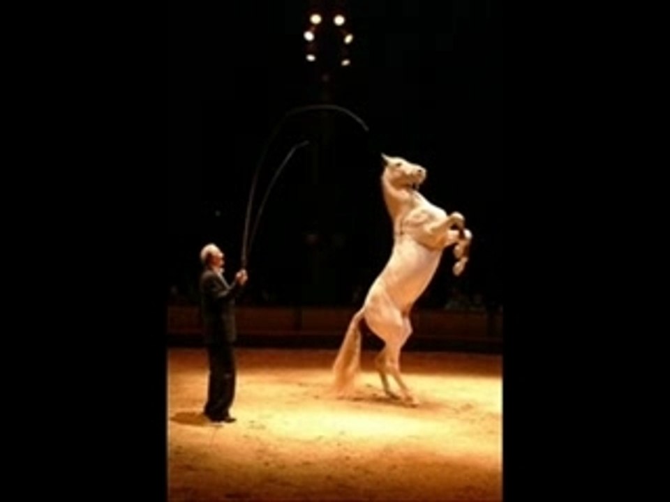 Equita'lyon