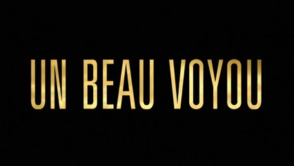 UN BEAU VOYOU (2017) WEB-DL XviD AC3 FRENCH