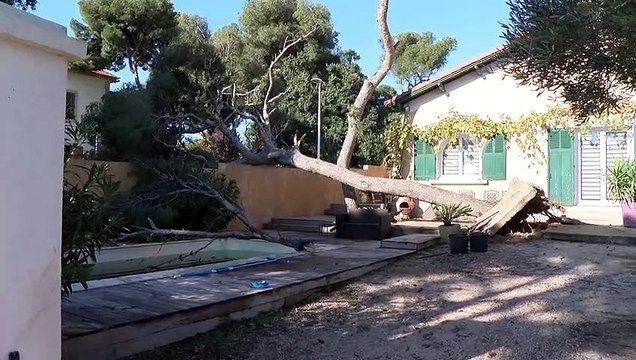 Une mini tornade a fait de gros dégâts sur l'avenue de la Côte Bleue à Sausset