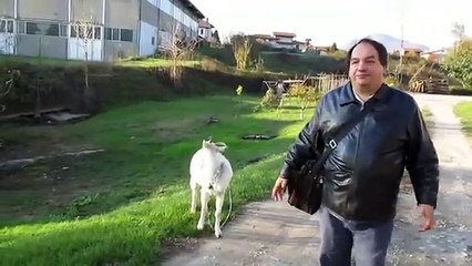 Unboxing del Riuso e lancio Canali del Maury