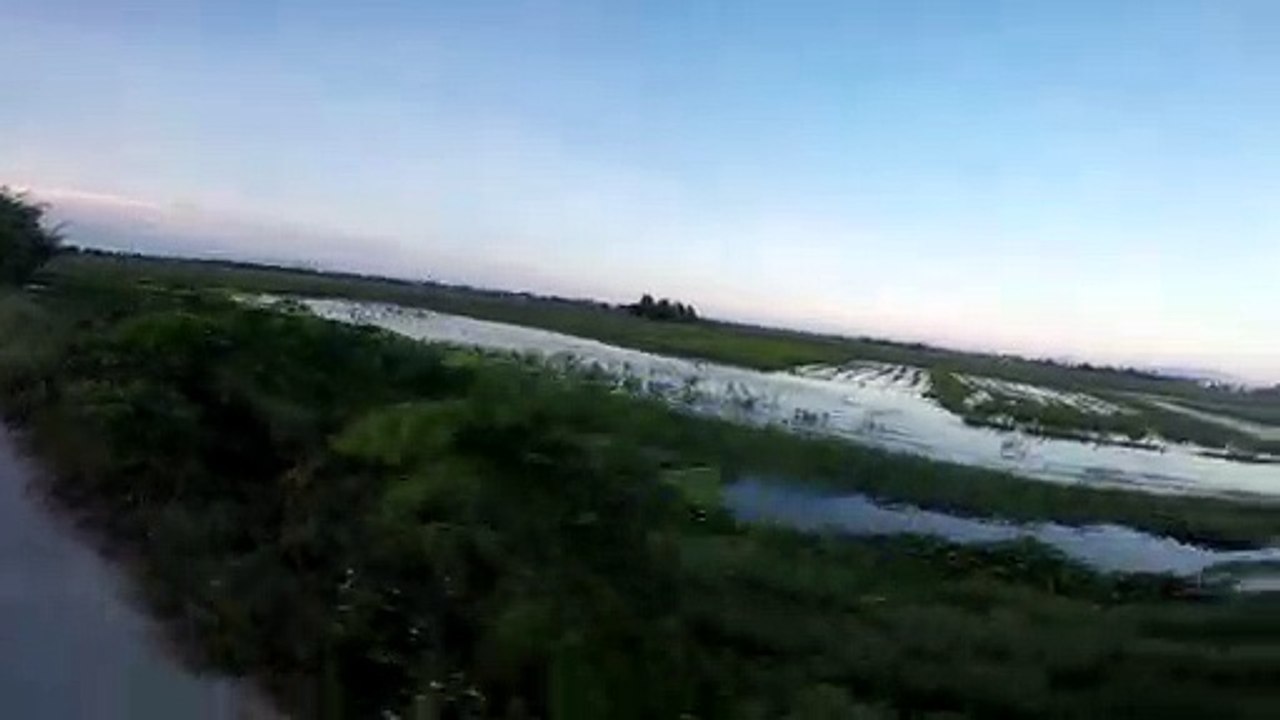 Vietnam - Hoi An rice fields