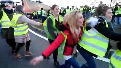 Une petite danse des canards au rond point de Noidans les Vesoul. La bonne humeur est là