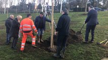 Des arbres plantés par le Rotary club