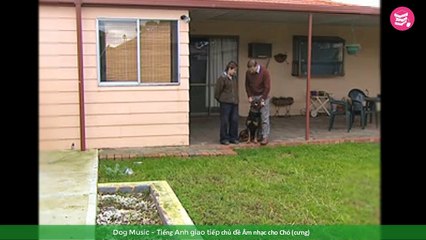 Dog Music - Tiếng Anh giao tiếp chủ đề Âm nhạc cho Chó (chó cưng)