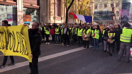 "Yellow vest" protesters take to streets of Lyon, France