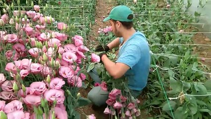 YEMIN OLSUN MUHTESEM BIR VIDEO