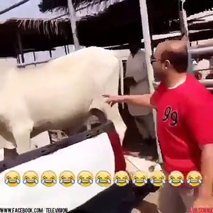 ESSAYE DE NE PAS RIRE # 8 - Hilarant Drôles Videos Moments Compilation