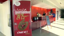 Alpes du Sud : Le Salon des Arts et gourmandises ouvre ses portes à Manosque