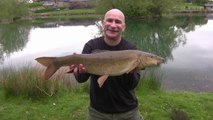 Double-Figure Bank Holiday Big Barbel - 28-4-17 (Video 16)