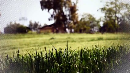 A vendre - Maison - CAUSSADE (82300) - 6 pièces - 170m²