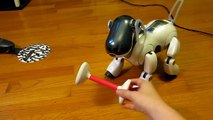 Cute and Smart Sony Robot Dog Aibo ERS-7.MP4