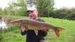 Barbel Bait Testing and Floater Fishing For Carp - 19-5-17 (Video 20)