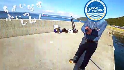 【ちょいなす】釣り場のアイドル