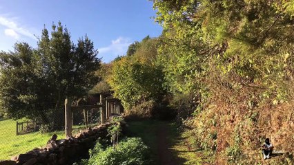 Étape 68 : Grandas De Salime – Fonsagrada / Camino Del Norte – Primitivo – Compostelle – 21 octobre 2017.