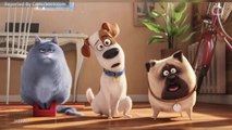 The Secret Life of Pets 2: Chloe Trailer Released