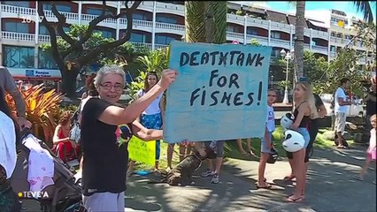 TH : 250 danseurs engagés dans le Ori Tahiti nui competition