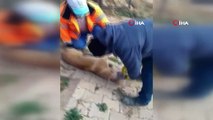 Başına plastik bidon sıkışan köpeği böyle kurtardılar