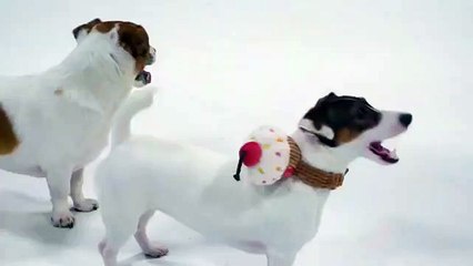 송파출장안마-{카톡SZX77 }⊀Ö7Ô-7575-0077⊁송파출장마사지'20대'송파출장안마출장안마코스송파출장안마송파출장마사지-황제송파출장마사지-송파콜걸.