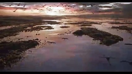 The Lion King Teaser Trailer #1 (2019)  Movieclips Trailers