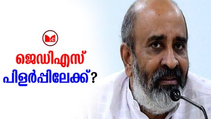 Mathew T Thomas | സംസ്ഥാന അധ്യക്ഷ സ്ഥാനത്തെച്ചൊല്ലി ജനതാദള്‍ എസില്‍ വ്യത്യസ്ത നിലപാടുക