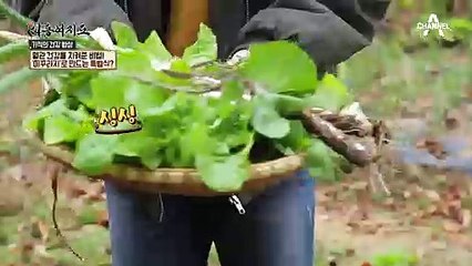육류 대신 0000으로 단백질을 섭취한다?! 건강 고수의 음식 비법!