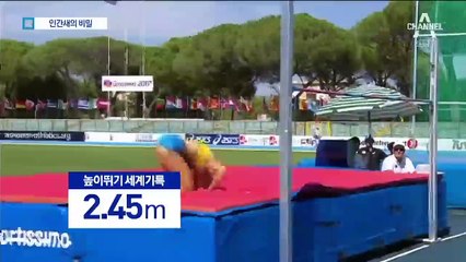 [쇼미더스포츠]‘인간새’의 꿈…장대높이뛰기의 비밀은?