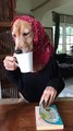Dog drinking the Tea