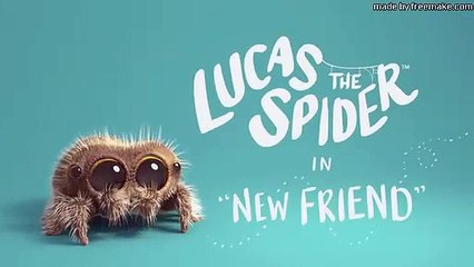Lucas The Spider - New Friend