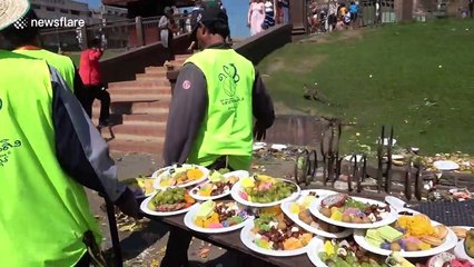 Monkeys have birthday picnic in Thai town