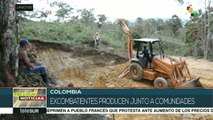 Colombia: excombatientes señalan incumplimiento de acuerdos