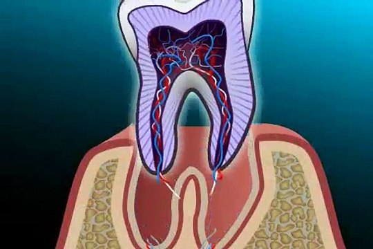 was macht ein oral Chirurg anders als ein Zahnarzt