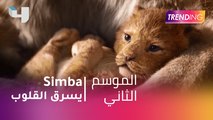#MBCTrending - Simba الجديد يسرق القلوب