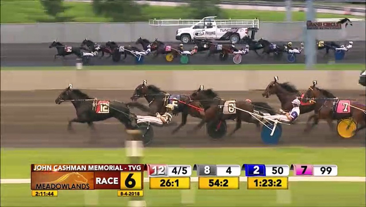 2018 Harness Racing Year In Review